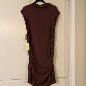 Aritzia Asymmetrical Dress in Deep Brown